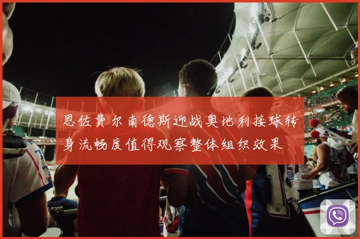 恩佐费尔南德斯迎战奥地利接球转身流畅度值得观察整体组织效果